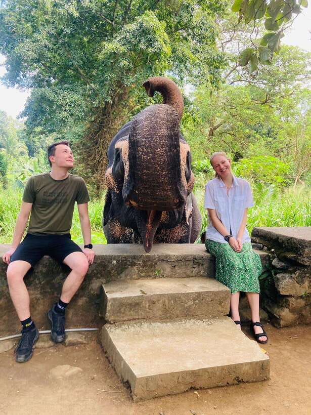 From Kandy : Pinnawala Elephant Orphanage & Ambuluwawa Tower - What the $20 tour really gives you