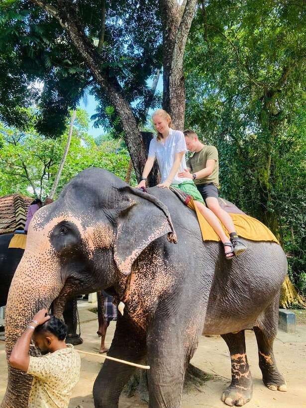 From Kandy : Pinnawala Elephant Orphanage & Ambuluwawa Tower - Starting around Kandy by tuk-tuk