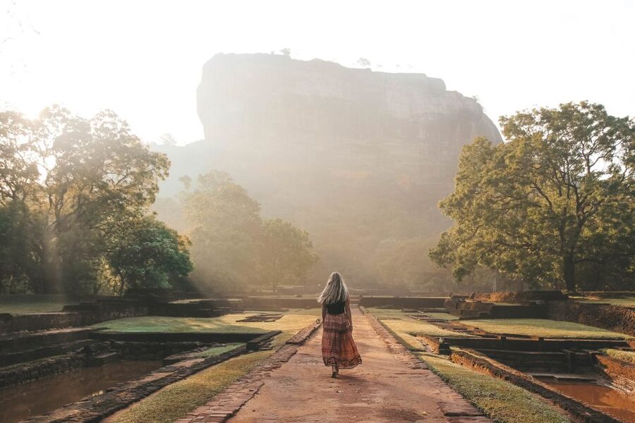 From Kandy: Sigiriya and Dambulla Day Trip and Safari - The optional safari at Kaudulla, Minneriya, or Eco Park