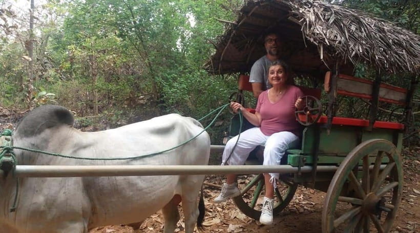 From Kandy: Sigiriya and Pidurangala Rock Tuk Tuk Safari - What this $25 tuk tuk safari really offers