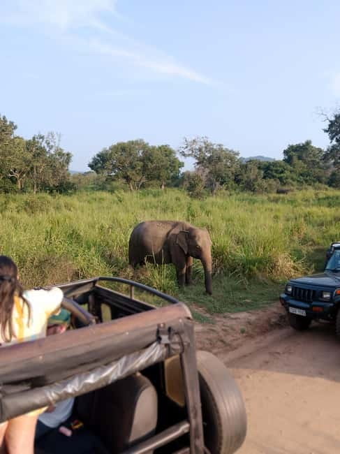 From Kandy: Sigiriya & Dambulla Day Tour with Safari - Why this Kandy day trip is appealing