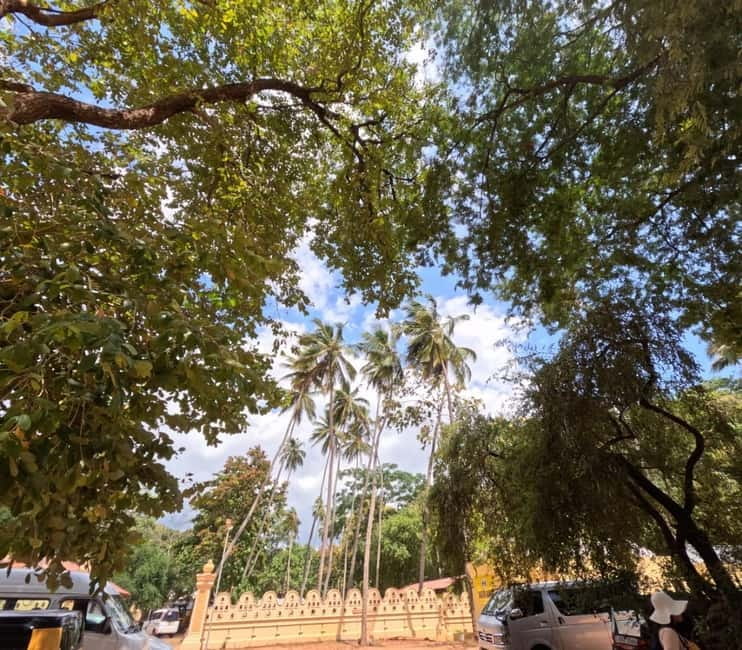 From Kandy: Sigiriya & Dambulla Day Tour with Safari - Dambulla’s painted caves and Buddha statues