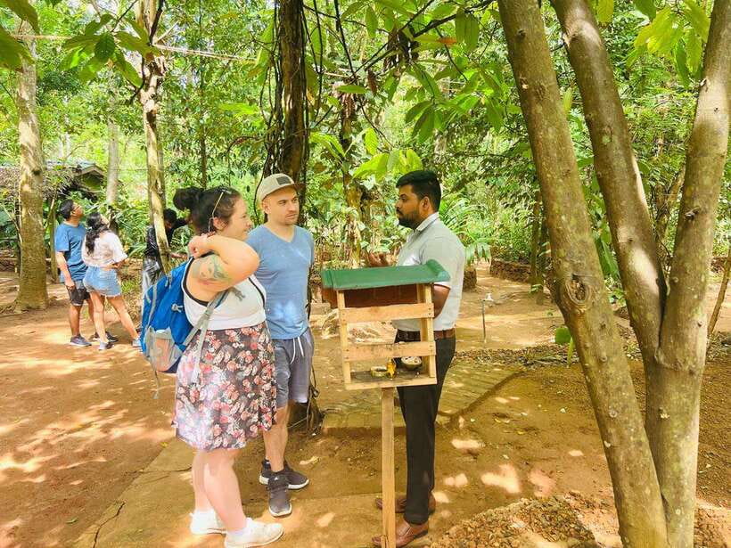 From Kandy: Sigiriya Day Tour with Elephant Safari(group) - What this Kandy to Sigiriya day includes