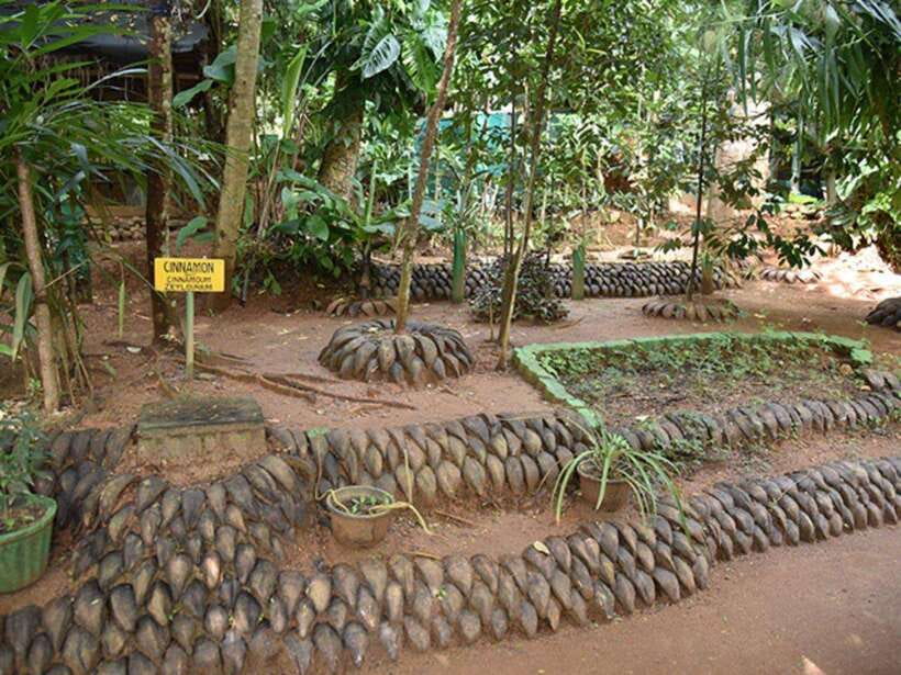 From Kandy: Sigiriya Guided Tuk-Tuk Tour - A long road made enjoyable by the tuk-tuk