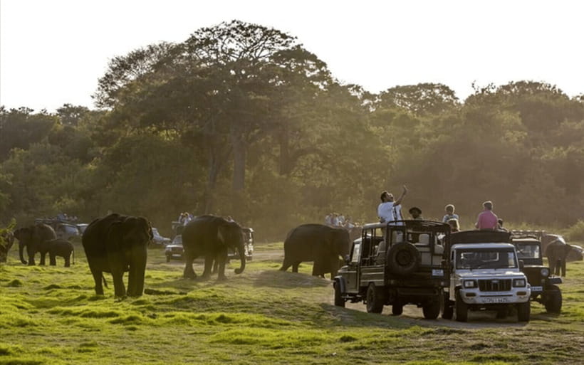 From Kandy: Sigiriya Rock Fortress and Wildlife Safari - The road from Kandy to Sigiriya