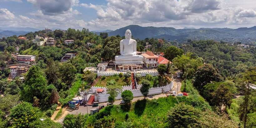 From Kandy: The Temple Run Tour - Key points to know before booking