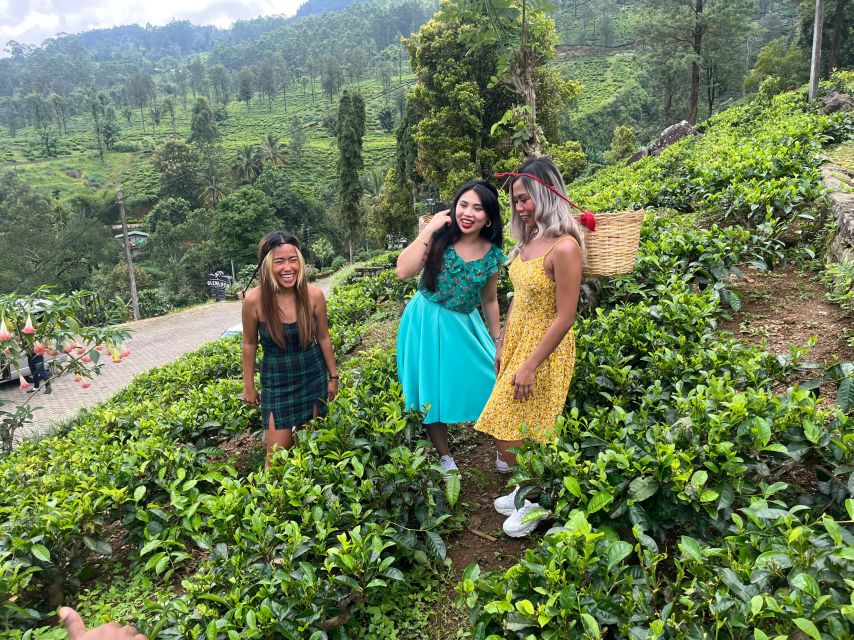 From kandy Train, and Pool Club Day Tour with Pickup - The short train ride needs a backup plan