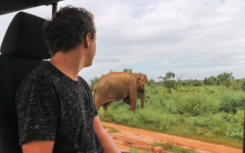 From: Mirissa/ Matara - Udawalawe Safari - To: Ella - What the $99 price really covers