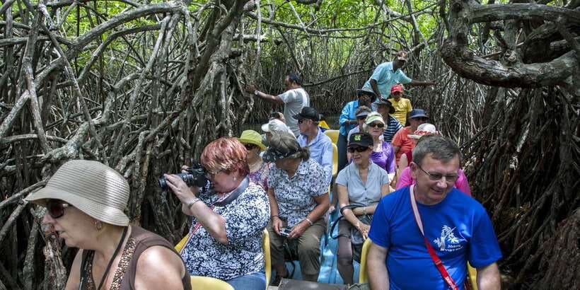 From Negombo: Bentota Full-Day Tour - Starting from Negombo and reaching Balapitiya