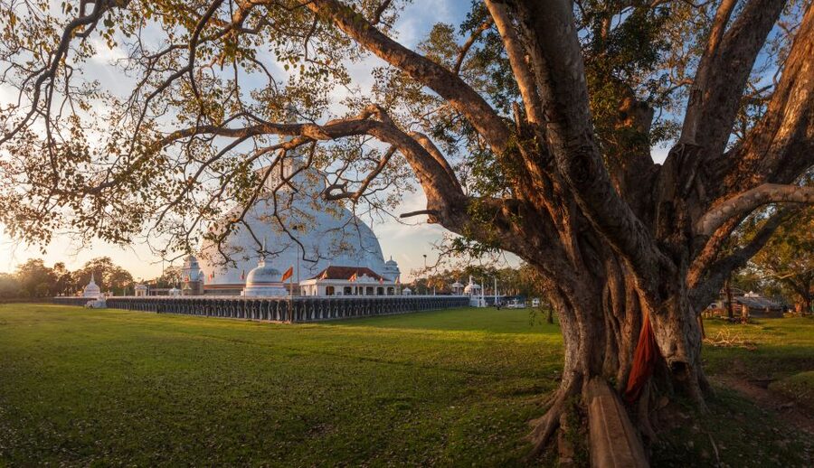 From Negombo: Full-Day Unesco City of Anuradhapura Trip - Abhayagiriya and Jetawanaramaya