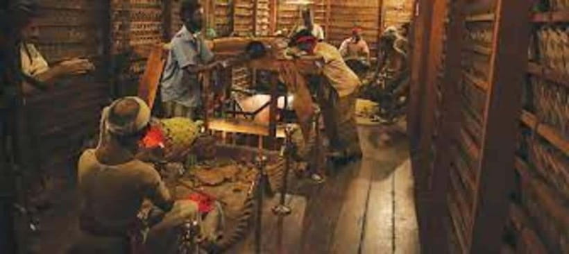 From Negombo : Pinnawala & Tea Factory & Kandy Full Day Trip - Kandy’s Shopping Stops: Useful, But Time Can Slip Away