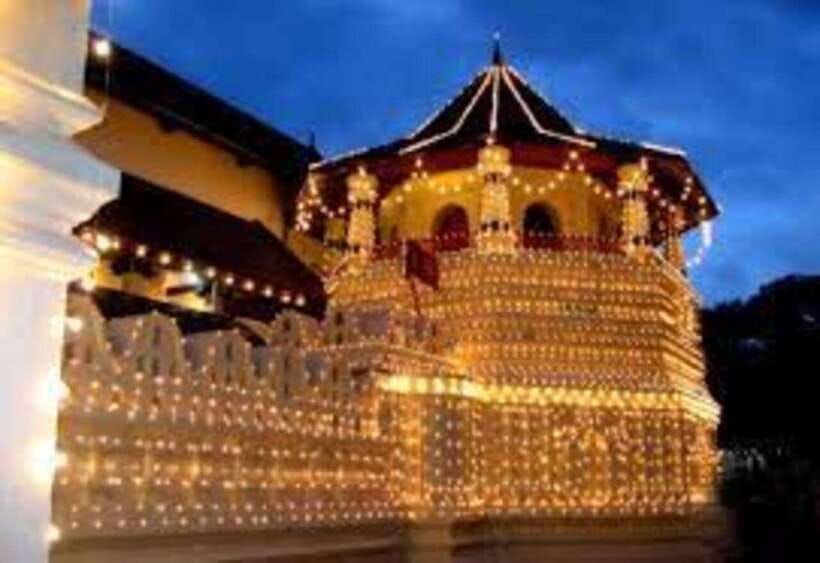 From Negombo : Pinnawala & Tea Factory & Kandy Full Day Trip - What the $47 Price Really Covers