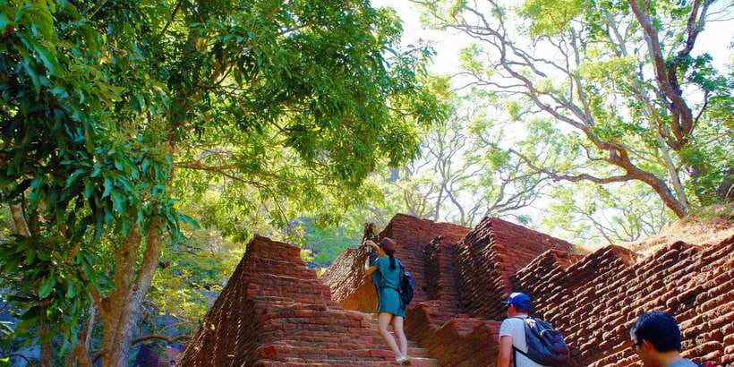 From Negombo: Sigiriya and Dambulla Day Trip and Safari - An early start from Negombo