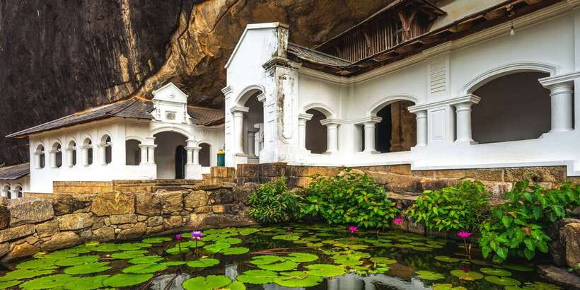 From Negombo: Sigiriya and Dambulla Day Trip and Safari - A seasonal safari at Minneriya, Kaudulla, or Eco Park