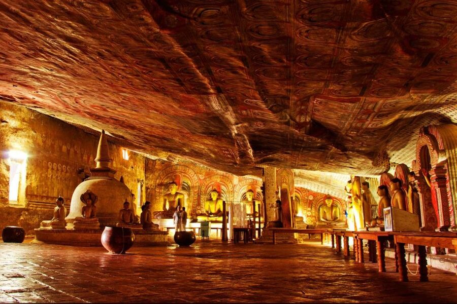 From Negombo: Sigiriya and Dambulla Day Trip and Safari - What the $75 price really covers