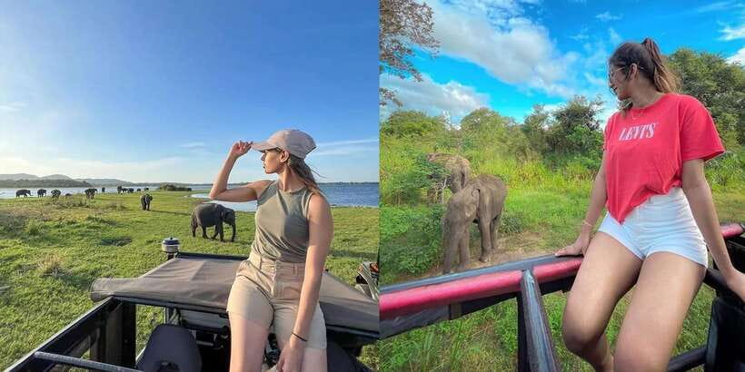 From Negombo: Sigiriya Dambulla and Village Safari Day Tour - Leaving Negombo in a private car or van