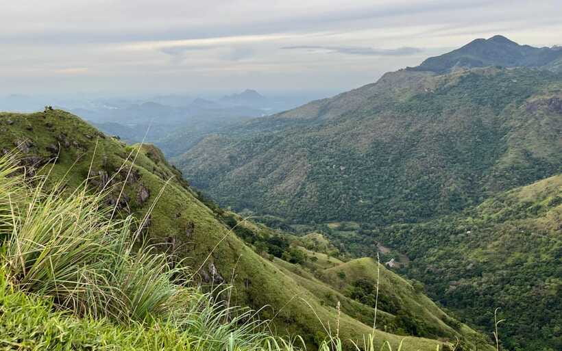 From Nuwara Eliya: Ella City Tour with Little Adam's Peak - Who should choose this day trip?