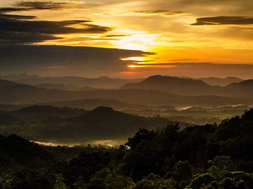 From Nuwara Eliya: Summit Bliss, Adams Peak Guided Hike - Should you book the private sunrise climb?