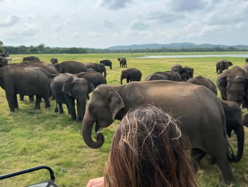 From Sigiriya: Hurulu Eco Park Elephant Jeep Safari - The 20-minute ride from your hotel