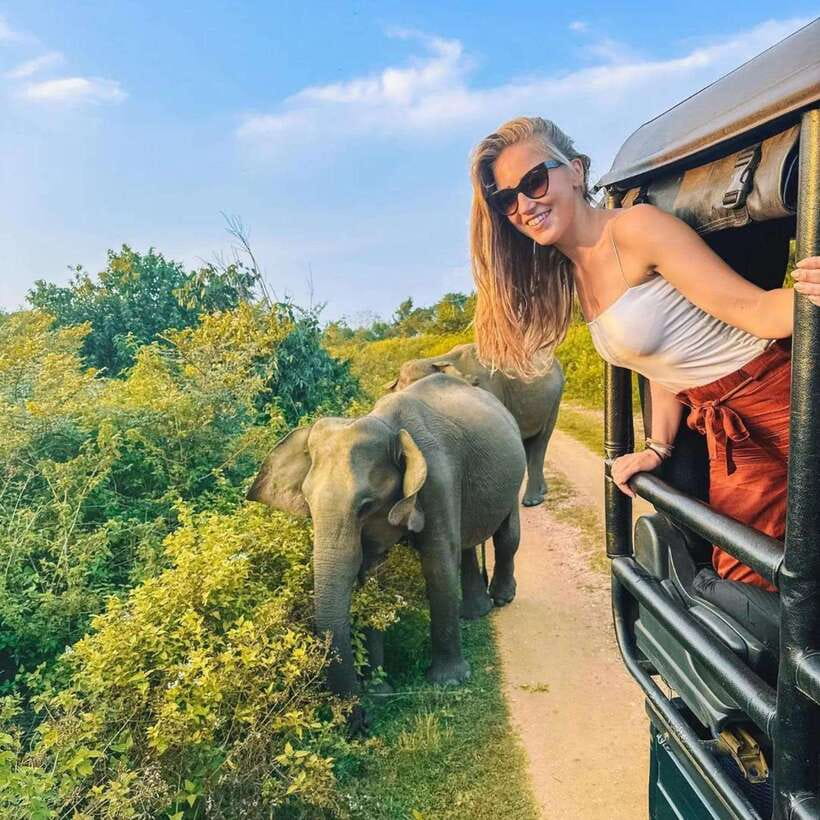 From Sigiriya : Hurulu Eco Park Safari : All Inclusive - First sightings: elephants in the morning grass