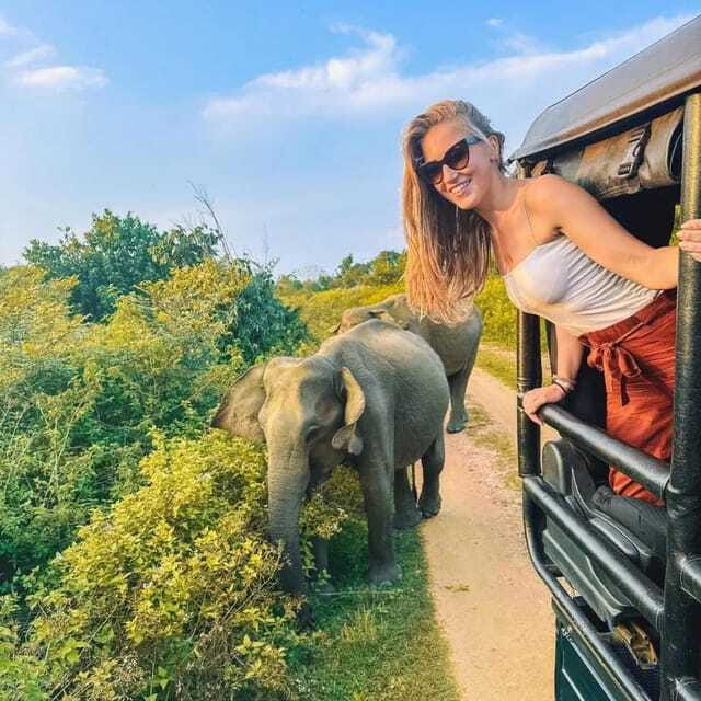 From Sigiriya : Hurulu Eco Park Safari : All Inclusive - Value at $31 per person