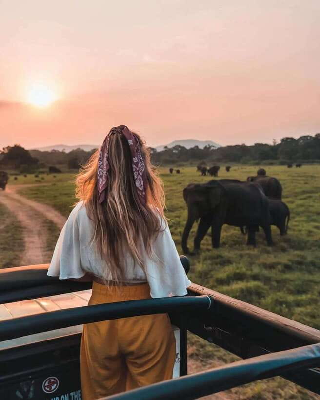 From Sigiriya: Minneriya National Park Elephant Safari - The most important choice: Minneriya, Hurulu, or Kaudulla
