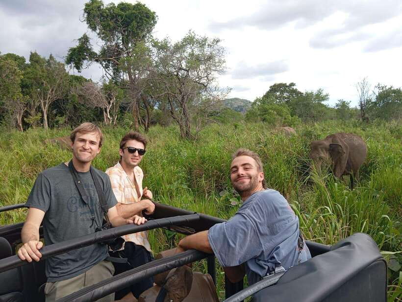 From Sigiriya: Minneriya National Park Half-Day Jeep Safari - Why Minneriya is such a strong wildlife choice