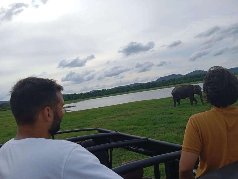 From Sigiriya: Minneriya National Park Half-Day Jeep Safari - Inside the park, allow three to four hours