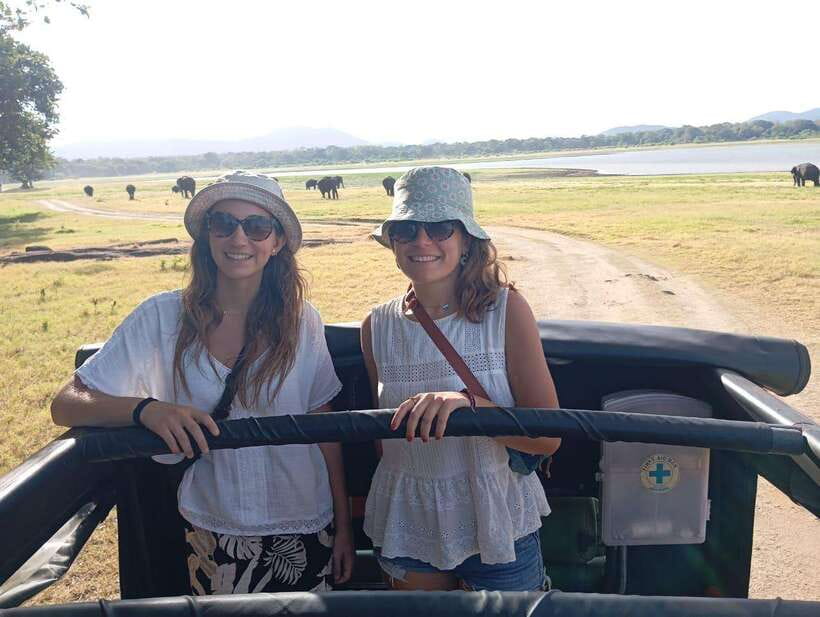 From Sigiriya: Minneriya National Park Half-Day Jeep Safari - Starting from Sigiriya, Habarana, or Dambulla