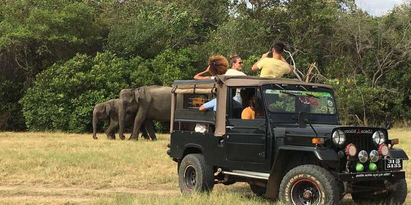 From Sigiriya: Polonnaruwa Ancient City & Minneriya Safari - Wood carving and the local shopping stop