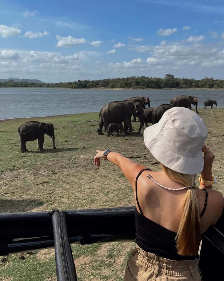From Sigiriya :Polonnaruwa Ancient City Tour/Day Tour - Booking, cancellation, and simple planning advice