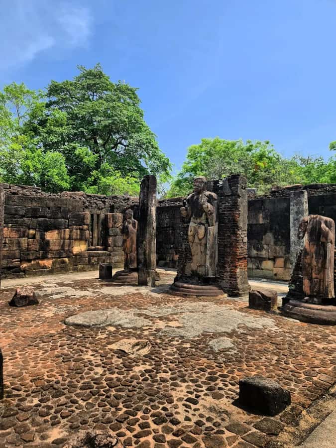 From Sigiriya :Polonnaruwa Ancient City Tour/Day Tour - Parakrama Samudra and the Lotus Pond