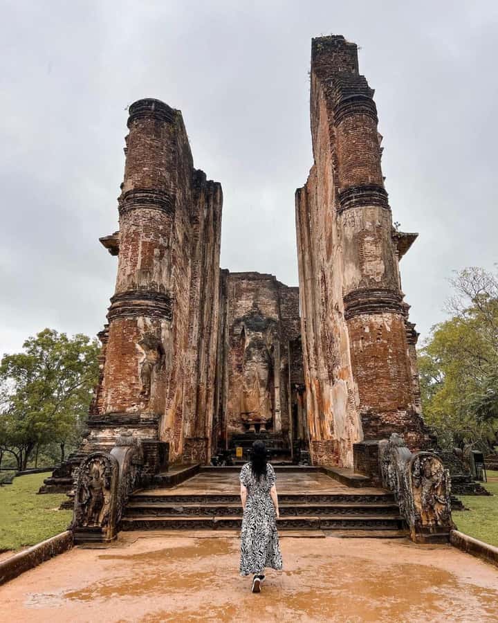 From Sigiriya :Polonnaruwa Ancient City Tour/Day Tour - The elephant safari can change the whole day