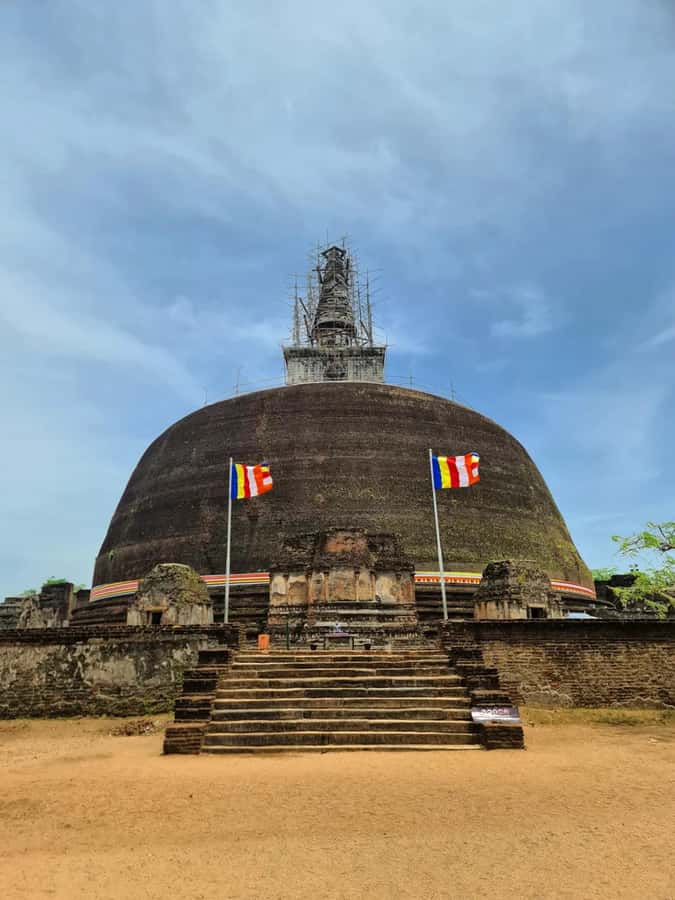 From Sigiriya :Polonnaruwa Ancient City Tour/Day Tour - What the private format means in practice