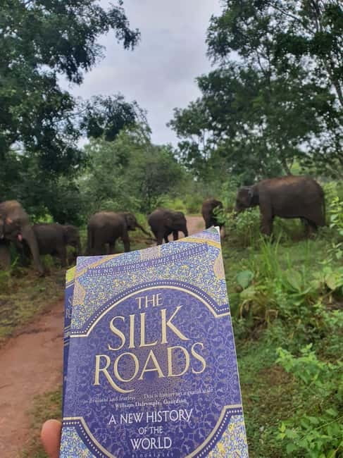 From Sigiriya: POLONNARUWA day tour & Minneriya NP SAFARI - Who will get the most from this day