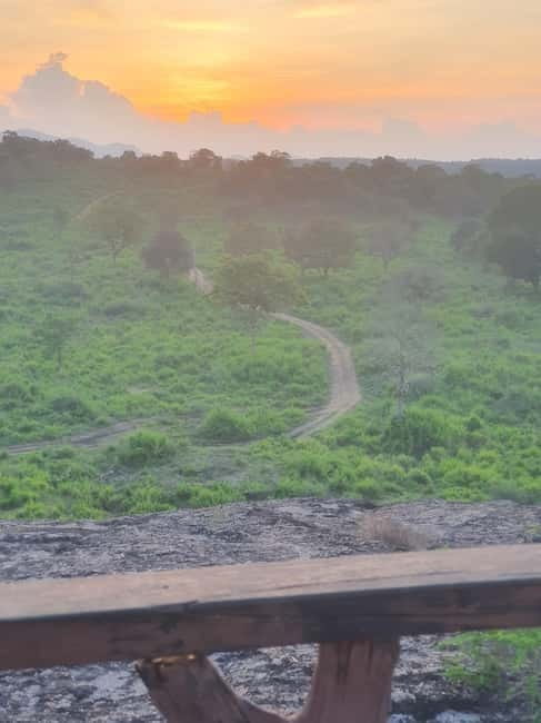 From Sigiriya: POLONNARUWA day tour & Minneriya NP SAFARI - Polonnaruwa’s royal center and stone Buddhas