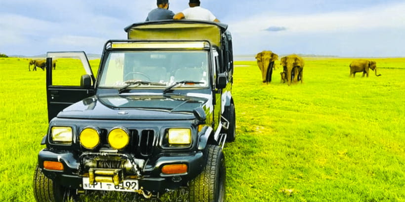 From Sigiriya: Private 4X4 Safari to Where the Elephants Are - Food, water, and simple comforts