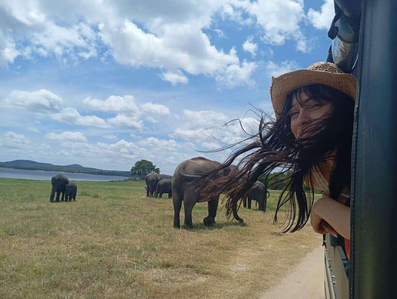 From Sigiriya: Sigiriya Lion Rock and Minneriya Jeep Safari - Minneriya National Park by 4x4 jeep