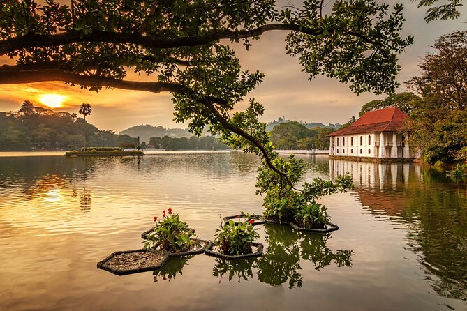 From Sigiriya to Kandy Transfer by Private Comfortable Car - What the two to three hour drive feels like