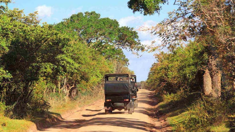 From Sigiriya: Wilpattu National Park Private Jeep Safari - Is $200 per person good value?