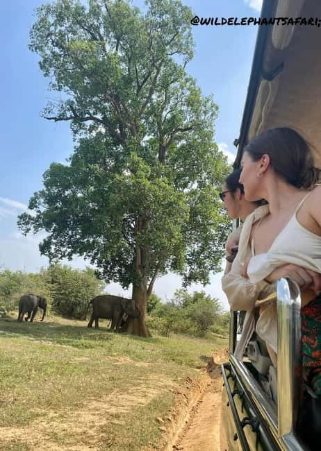 From Tangalle/ Hiriketiya: Yala Safari with Drop: Ella - What you might see in the park