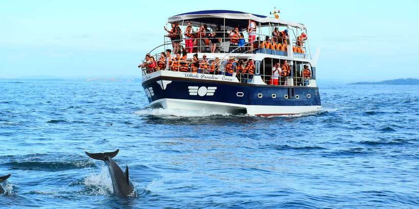 From Tangalle: Mirissa Whale Watching Tour with Breakfast - From Your Hotel to Mirissa Pier