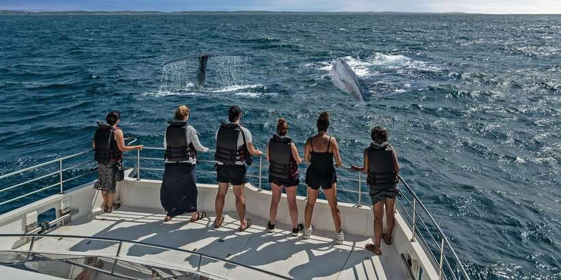 From Tangalle: Mirissa Whale Watching Tour with Breakfast - Breakfast on the Water