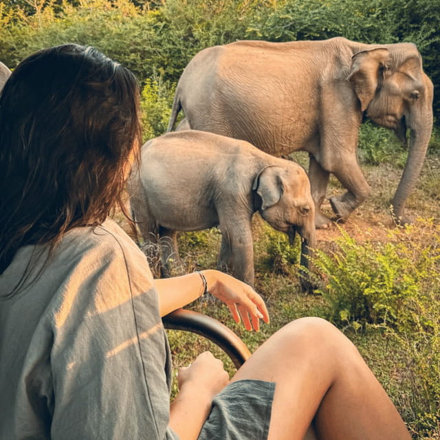 From Trincomalee : Minneriya / Kaudulla Elephant Safari - Timing, weather, and the best month to go