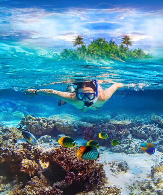 From Uppuveli Beach: Pigeon Island Snorkeling Tour - Key points to know before you book