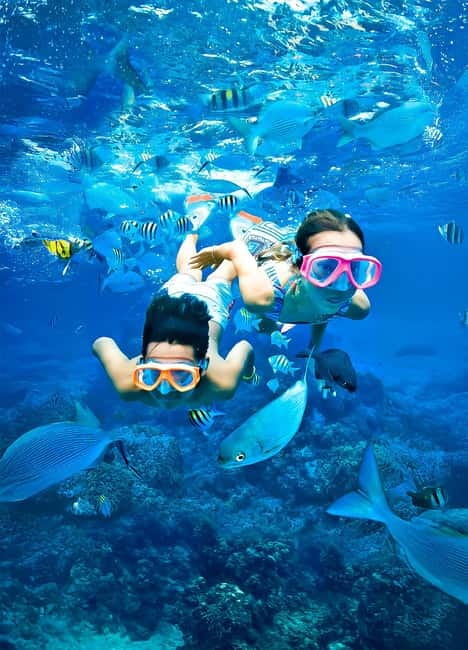 From Uppuveli Beach: Pigeon Island Snorkeling Tour - Meeting at Fernando’s Beach Market at 8:30 AM