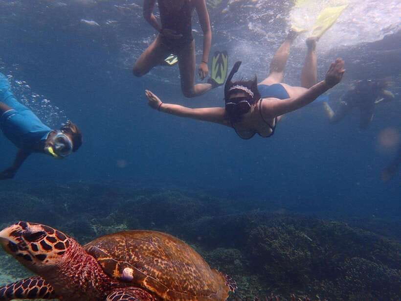 From Uppuveli Beach: Pigeon Island Snorkeling Tour - Entering the protected waters around Pigeon Island
