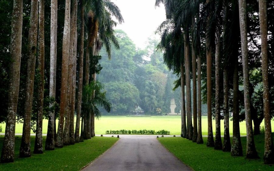 From west coast: Kandy, Tooth temple, Botanical & Tea garden - Matale’s spice garden and the everyday side of Sri Lanka