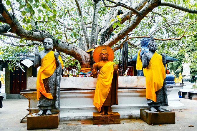 Full day Colombo City Tour - Private Air Condition Car and Driver - Parks, monuments, and Sri Lanka’s modern story