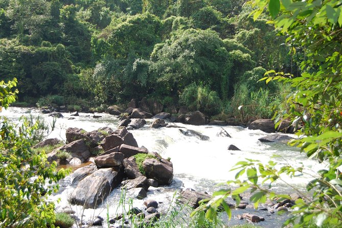 Full-Day Kitulgala White Water Rafting Tour from Colombo - The Long Road From Colombo to Kitulgala